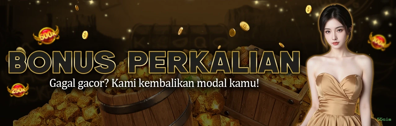 Login seguro na 55sim